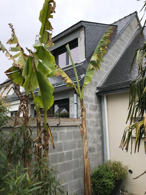 Extension et rénovation maison evolution chantier 11_Edifice Construction